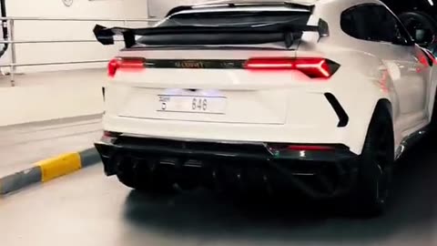 ✨🚀 Dubai's Stunning Supercars: A LUXURY Experience! | LuxurySportsCars