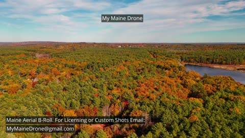 Maine B-Roll (No Sound): Fall Foliage at Lily Pond in New Gloucester, Maine Video 26