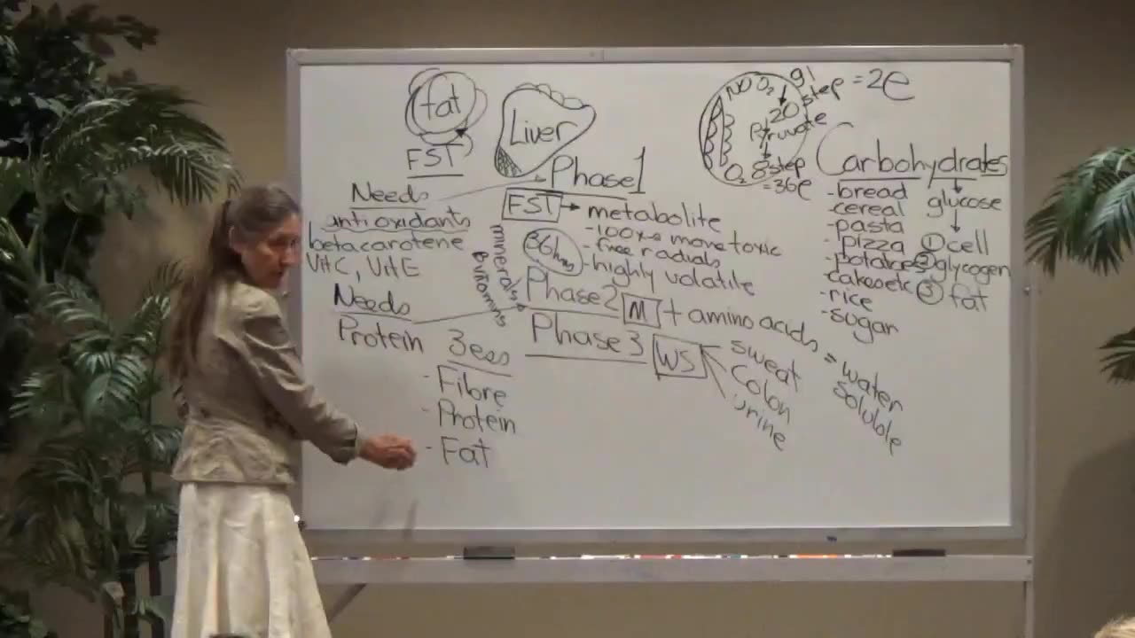 Barbara O’Neill-Detoxification and The Liver Part 4 (the last one)