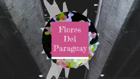 "Flores Del Paraguay" - Track by Robert Kovarik (Preview) #orchestral #classic #music #ballads