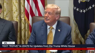 President Trump Participates in a Cabinet Meeting, July 08, 2025