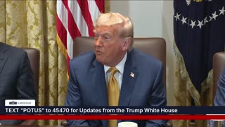 President Trump Participates in a Cabinet Meeting, July 08, 2025