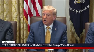 President Trump Participates in a Cabinet Meeting, July 08, 2025