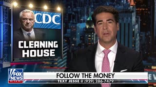 Watters: Politicians Got Rich While You Got Sick