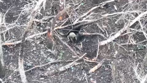 Ukraine war related/combat footage 11/24/25