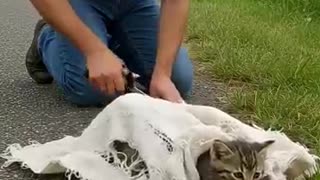 Must Watch: A Kind Man Rescues Helpless Cat wrapped in sack by the Road #animals