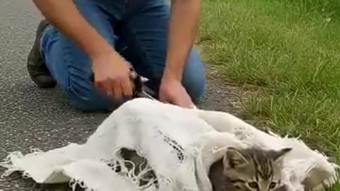 Must Watch: A Kind Man Rescues Helpless Cat wrapped in sack by the Road #animals