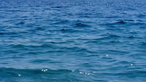 Relaxing Water 4K