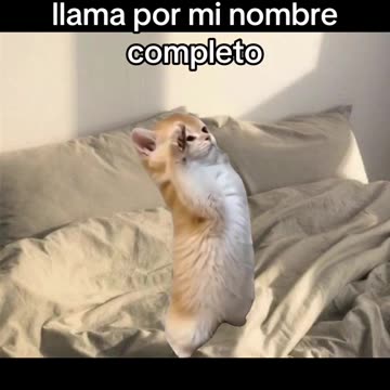 Relacionable?😂#relacionable #novios #novias #noviastoxicas #relaciones #pareja #objectivosdepareja #