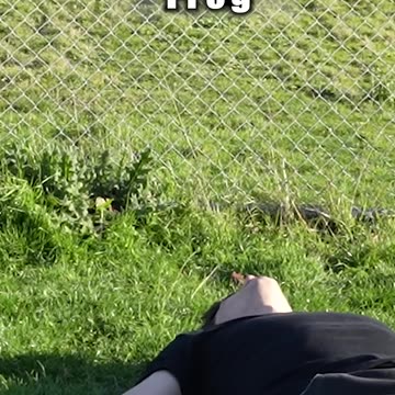 How Animals jump a fence... FAIL