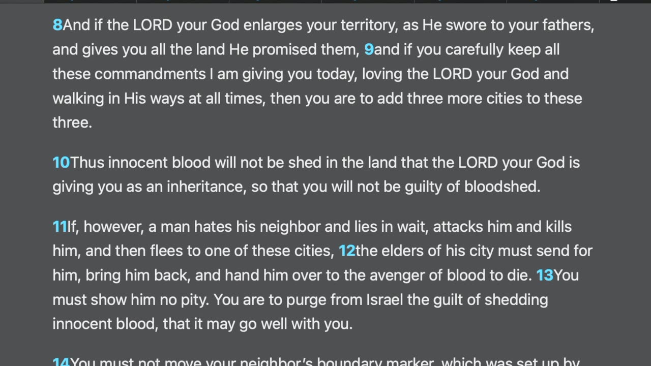 Deuteronomy 19