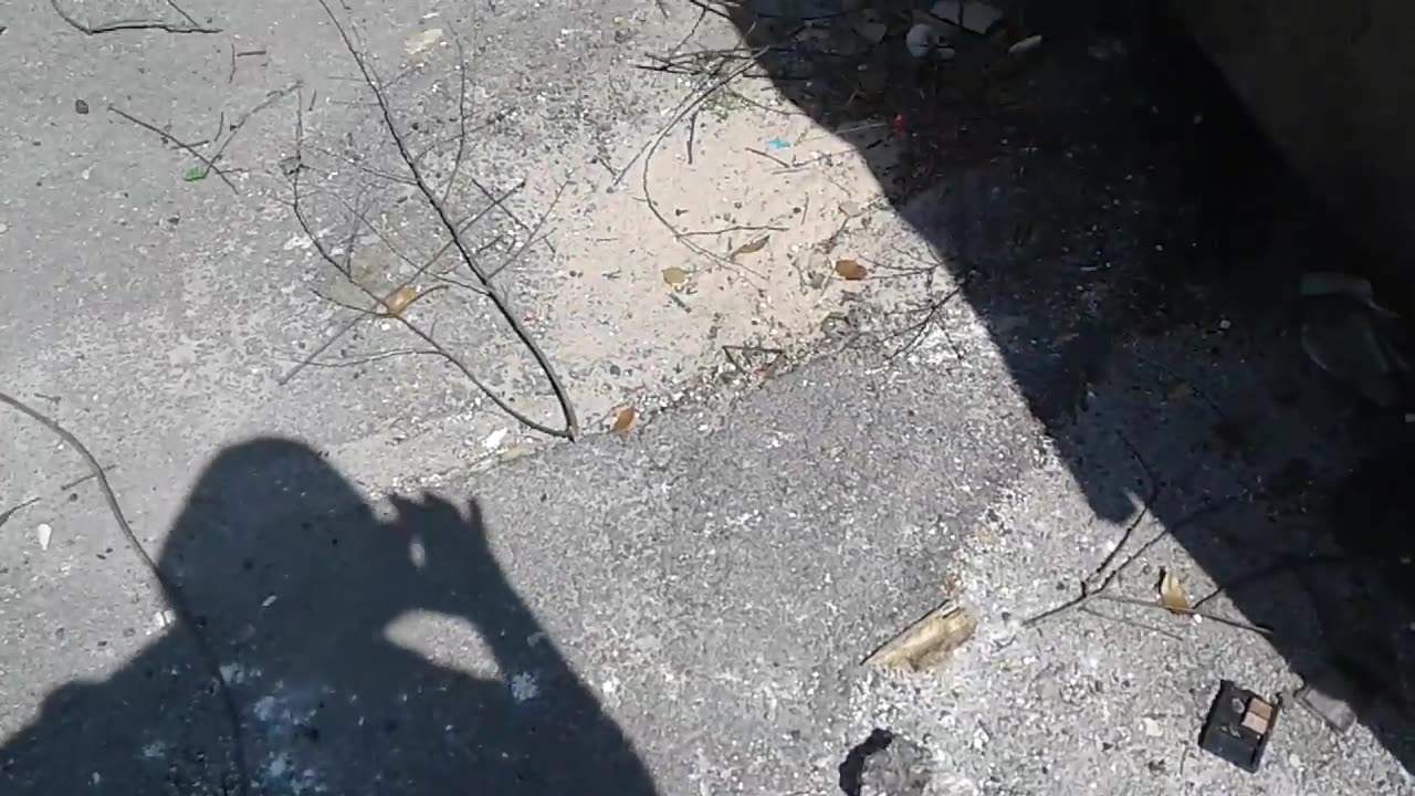 Much A-do About Nothing Dumpster Dive