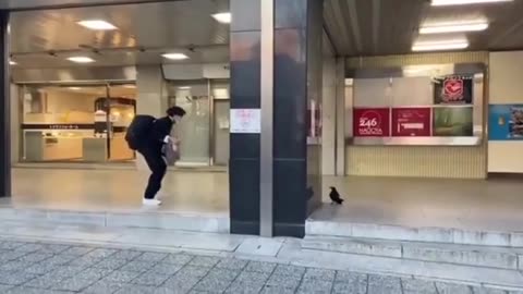 😂🐦 He's Either a Genius or a Crow's BFF! | FunFM