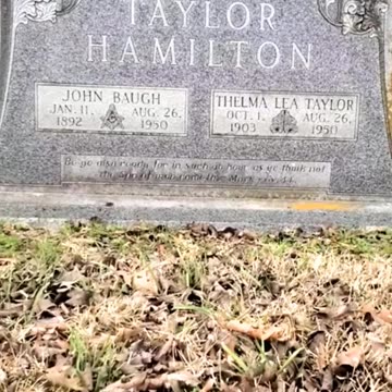 DERANGED HORRORS - VOL. 988: DEADLY CAR CRASHES