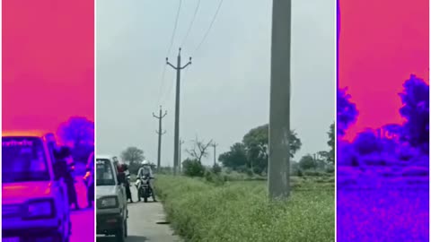 Mongoose vs. Cobra Duel Halts Traffic in UP’s Auraiya!