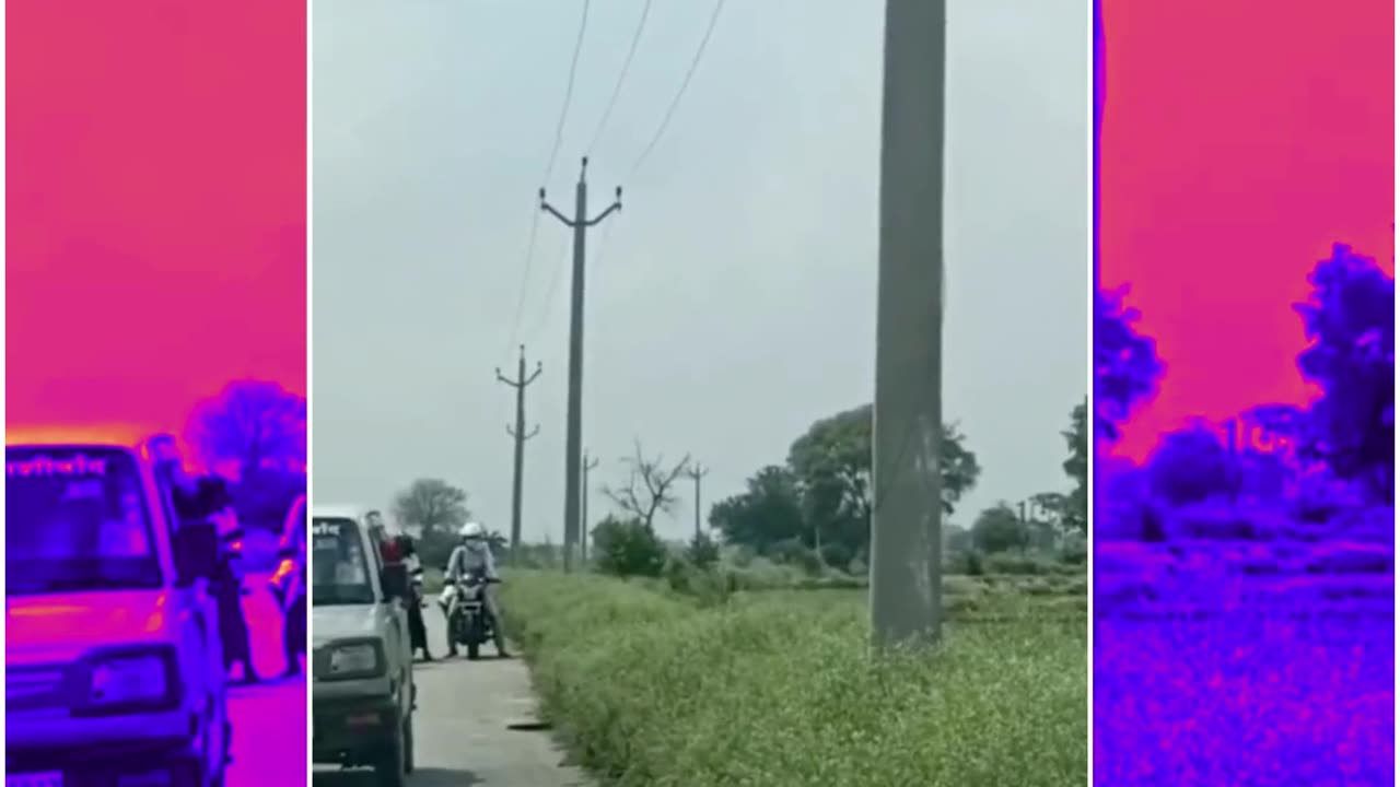 Mongoose vs. Cobra Duel Halts Traffic in UP’s Auraiya!