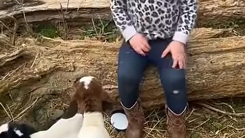 the sweet interactions between babies and animals