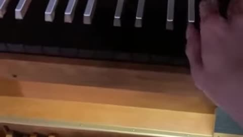 Organ Play