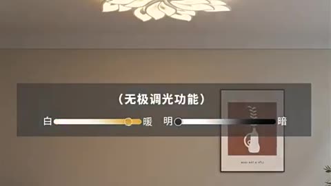Simple Modern Decorative Ceiling Lights