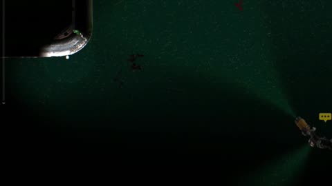 Husk Really Wanted My Teammate (Barotrauma)