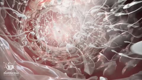 Educational Content ,From Fertilization To Childbirth 3d medical animation by Dandelion Team
