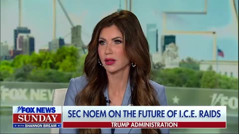 'You're getting gardeners': Fox News confronts Kristi Noem over deportations