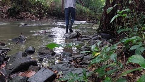 Experience Nature’s Calm: Break Free from City Life