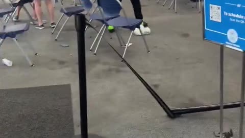 Double fight.