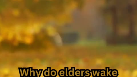 Old Age Sleeplessness Facts#InsomniaHelp 💤 #SleepDeep 😴 #PeacefulNights 🌜 #NoMoreTossing🛏️#RestEasy🌠