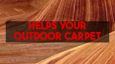 Indoor Outdoor Carpet What Property Owners Should Know