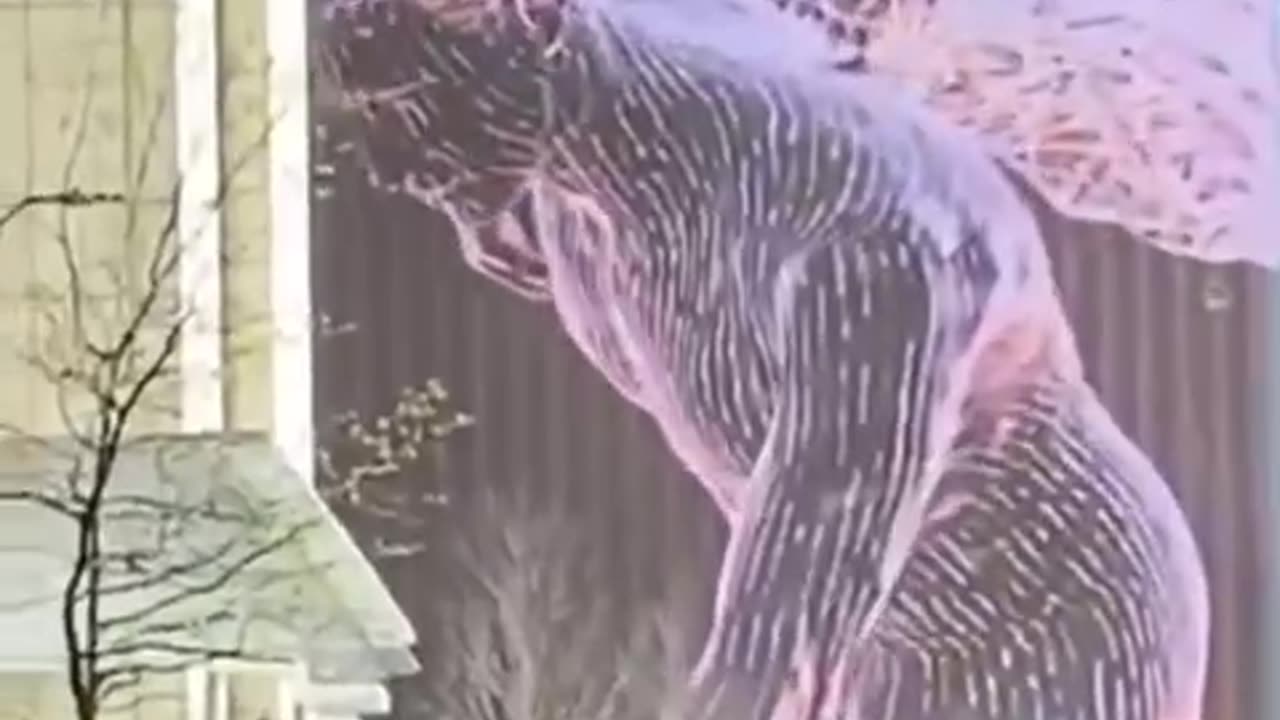 Blue beam angel holography seen in Paris.