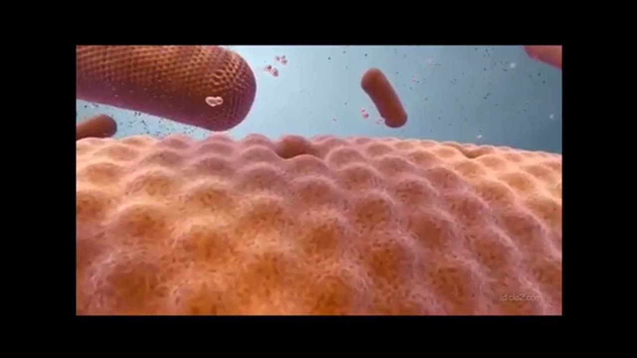 CLO2 - Kills Bacteria