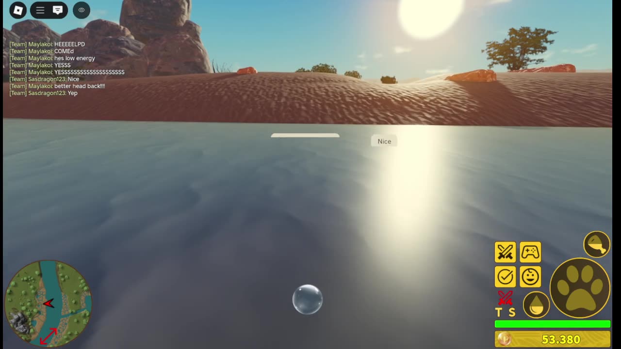 killing koser insavannah life