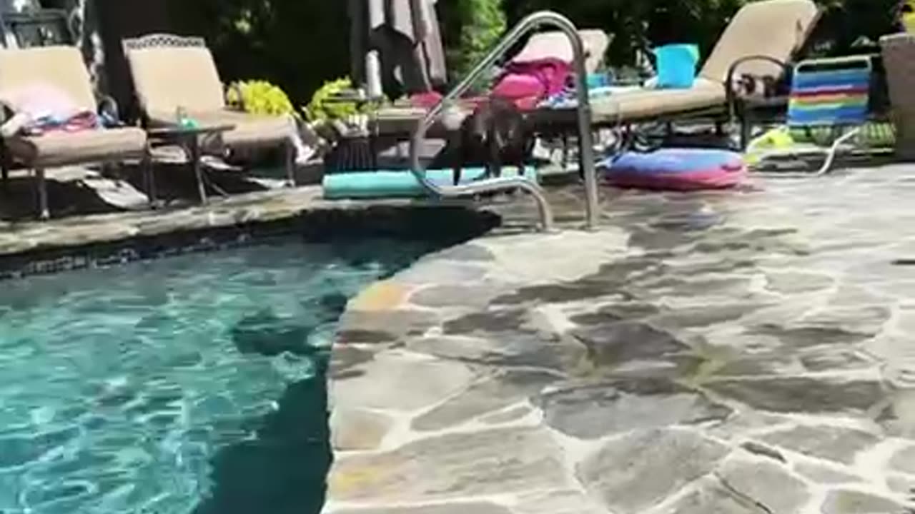 When you have the pool all to yourself on a hot day