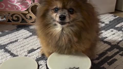 He Needed His Christmas Hat Off to Show Off His Drumming Skills