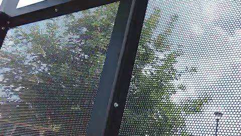 At the bus shelter @ this mill