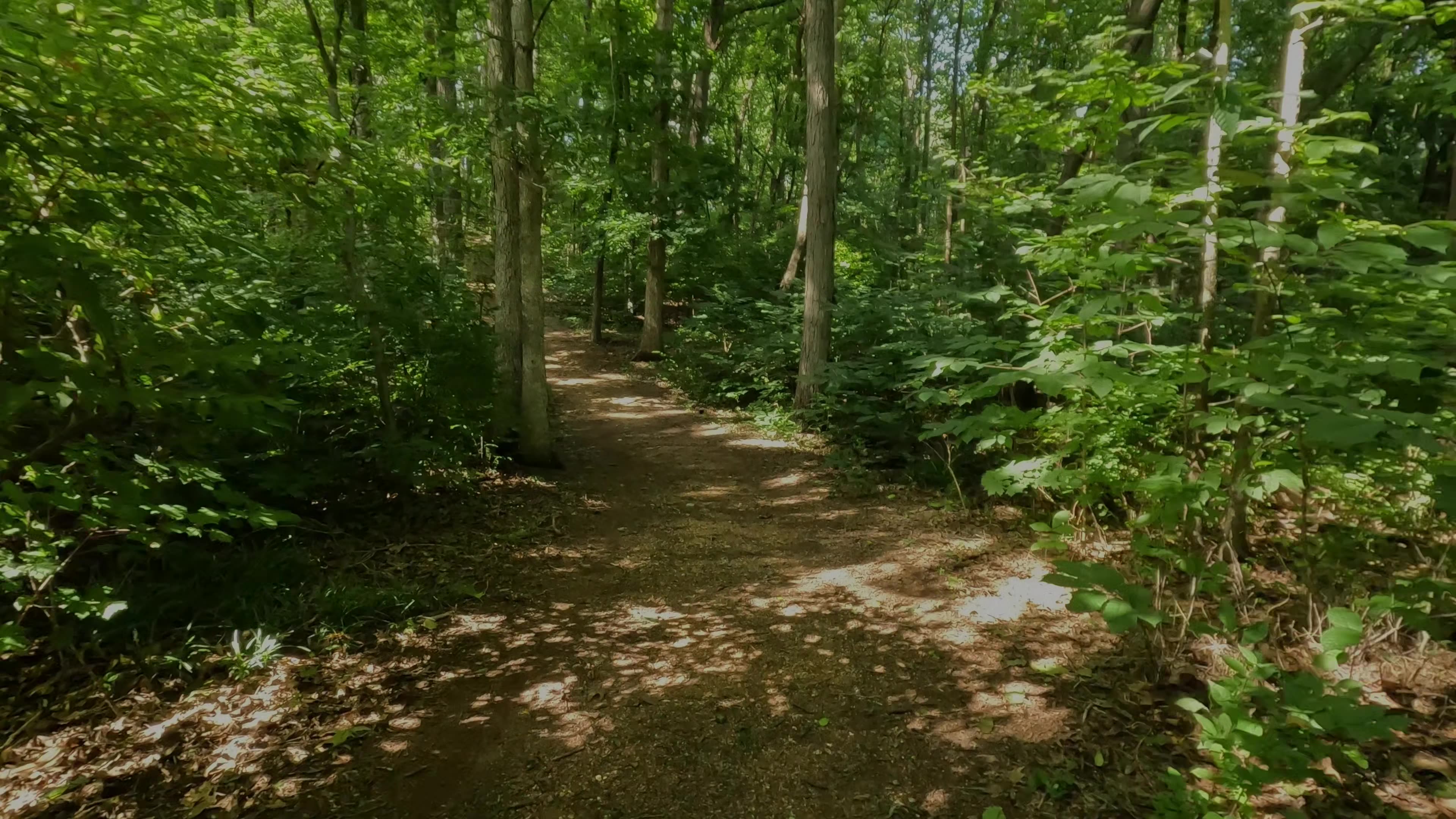 Hiking in Columbia, Tennessee (no talking)