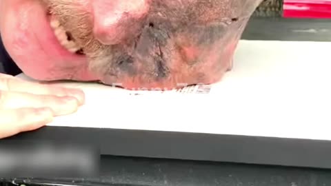 What’s Happening to His Face? 😱