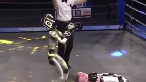 China launches the world’s first ever humanoid robot boxing fight.