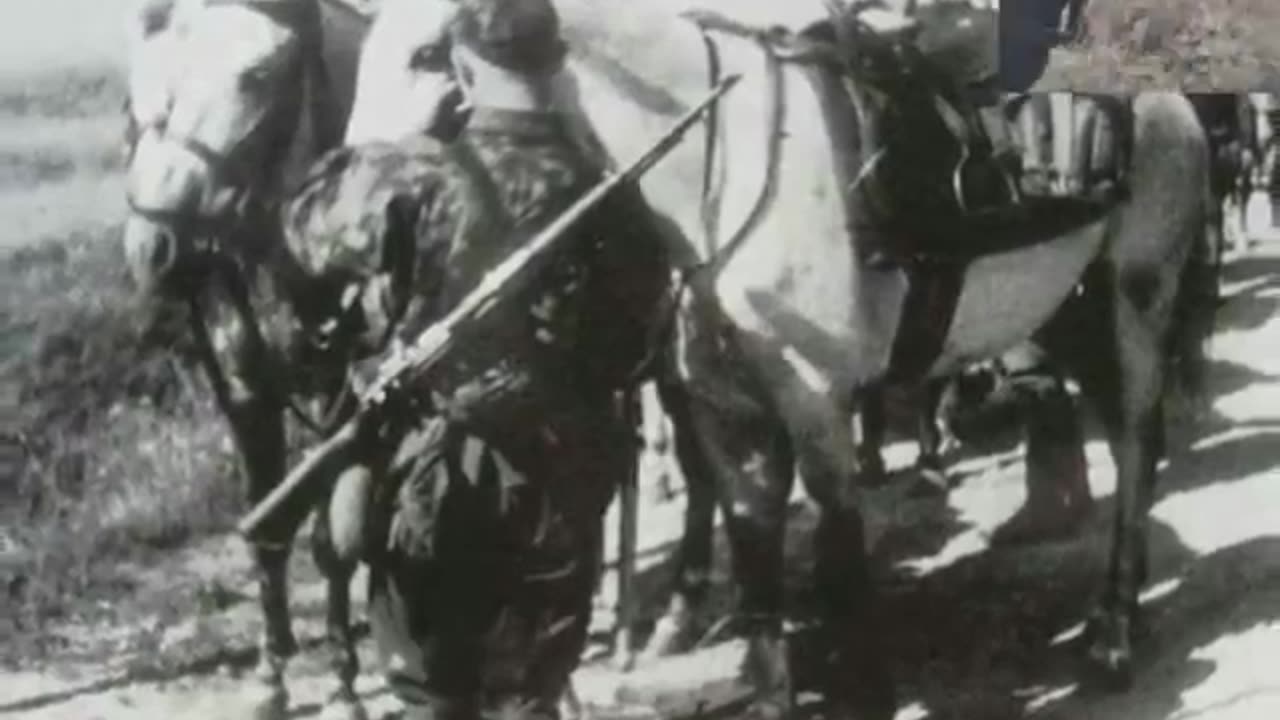 8. SS-Kavallerie-Division Florian Geyer