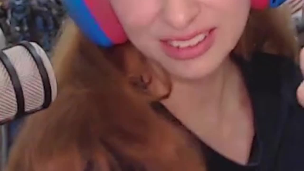 El amor existe, pero aún no lo han encontrado