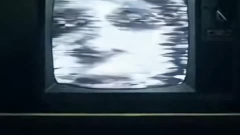 They Watch from the Static