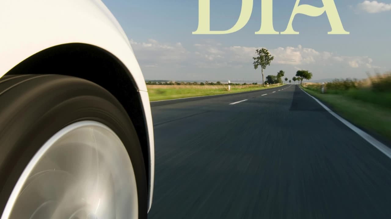Motorista VIP
