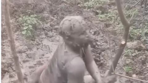 I watched the most insane viral videos.... I'm speechless!!