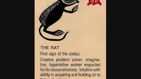 Year of the Rat - Chinese Zodiac