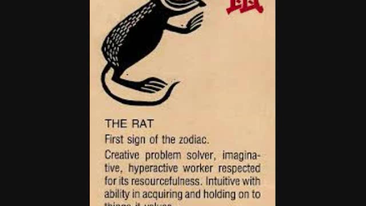 Year of the Rat - Chinese Zodiac