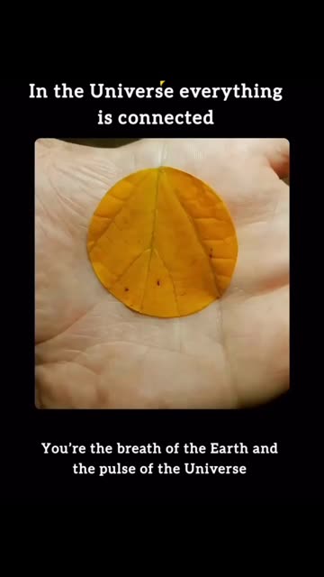 IN THE UNIVERSE EVERYTHING IS CONNECTED