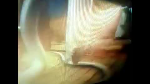 filme o feiticeiro e a serpente branca.mp4