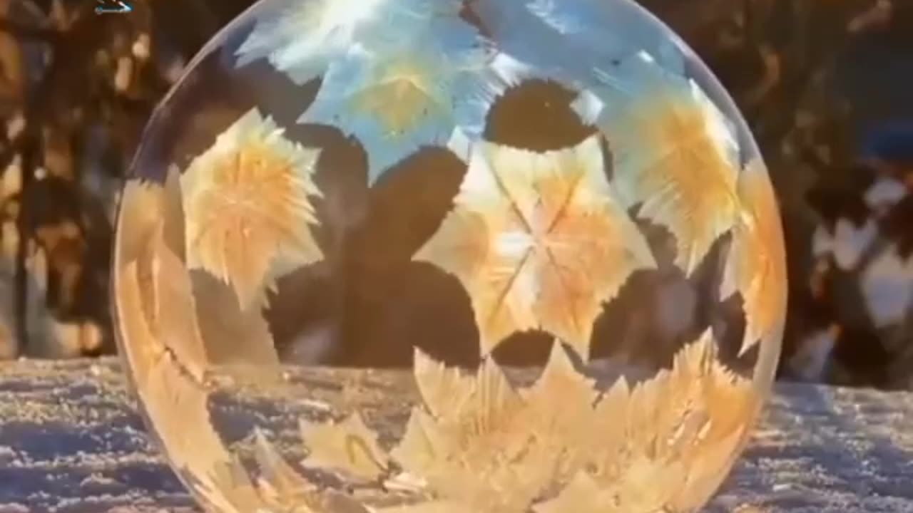 wonders of the world