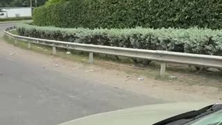 Bloqueos en Cartagena